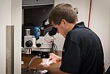 Polishing details under a  microscope - Our Team